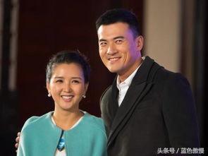 最新爆料赫子铭,揭秘娱乐圈不为人知的真相